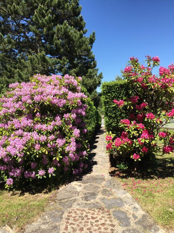 Les Gites Du Paradis Murol Buitenkant foto